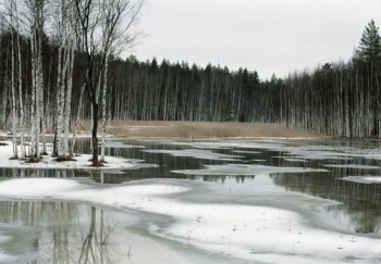 В Пермском крае в зону подтопления попадают 110 населённых пунктов 