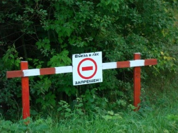 В Прикамье введено ограничение на посещение лесов
