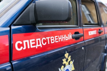 В Чайковском на улице обнаружено тело новорождённой девочки со следами укусов животных