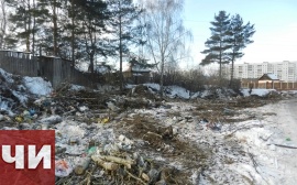 Жители Завьялово превратили заброшенный участок в свалку