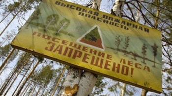 В лесах Пермского края до 20 сентября введён особый противопожарный режим