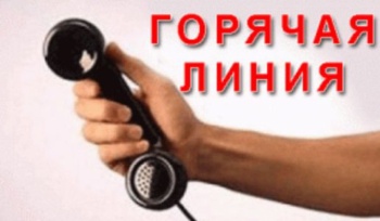 О нарушениях по проведению праймериз «Единой России» можно сообщить по телефону