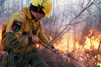 Пожары: горит мусор, лес, сухая трава