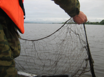 Более 350 метров рыболовной сети и незаконный улов