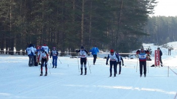 В «Земляничной поляне» прошли первые лыжные гонки