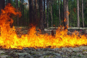 С 17 апреля в Чайковском округе открыт пожароопасный сезон